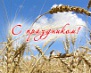 14 октября – День работников сельского хозяйства